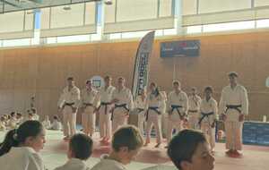 Ceintures bleues