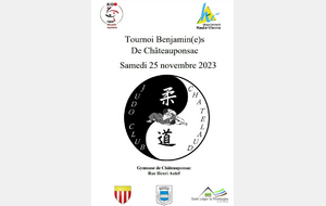 TOURNOI REGIONAL BENJAMIN-ES CHATEAUPONSAC